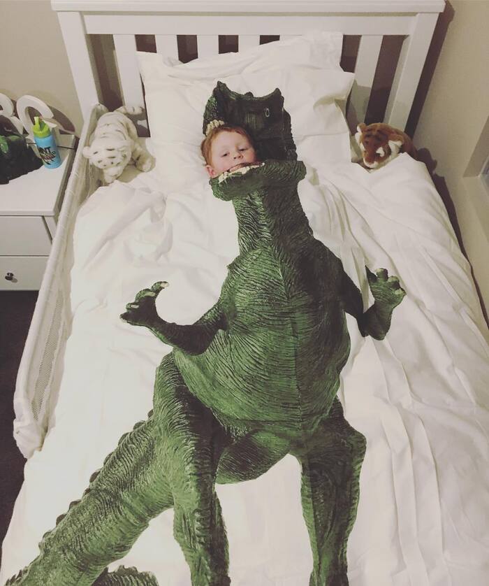 dinosaur bedroom ideas