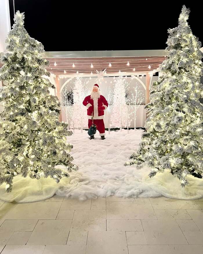 christmas decor ideas outdoor lights trees