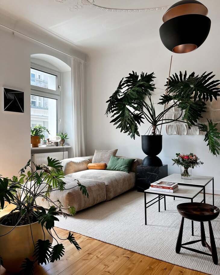 plants living room