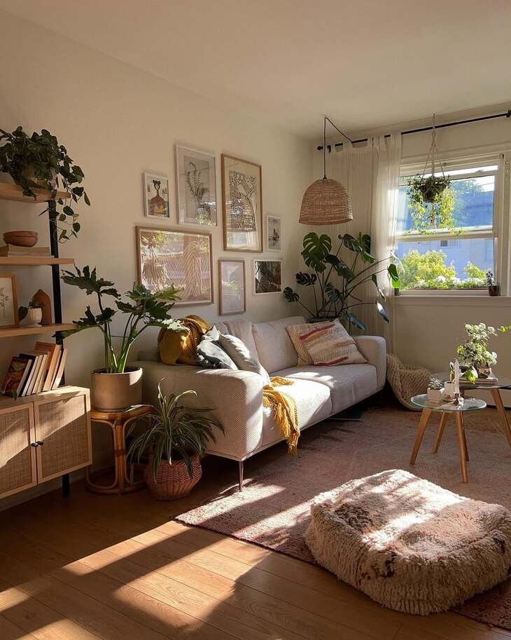 plants living room