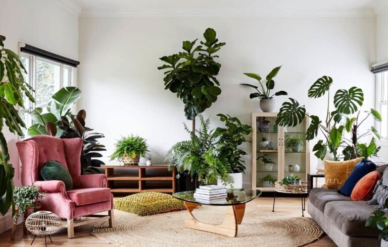 plants living room